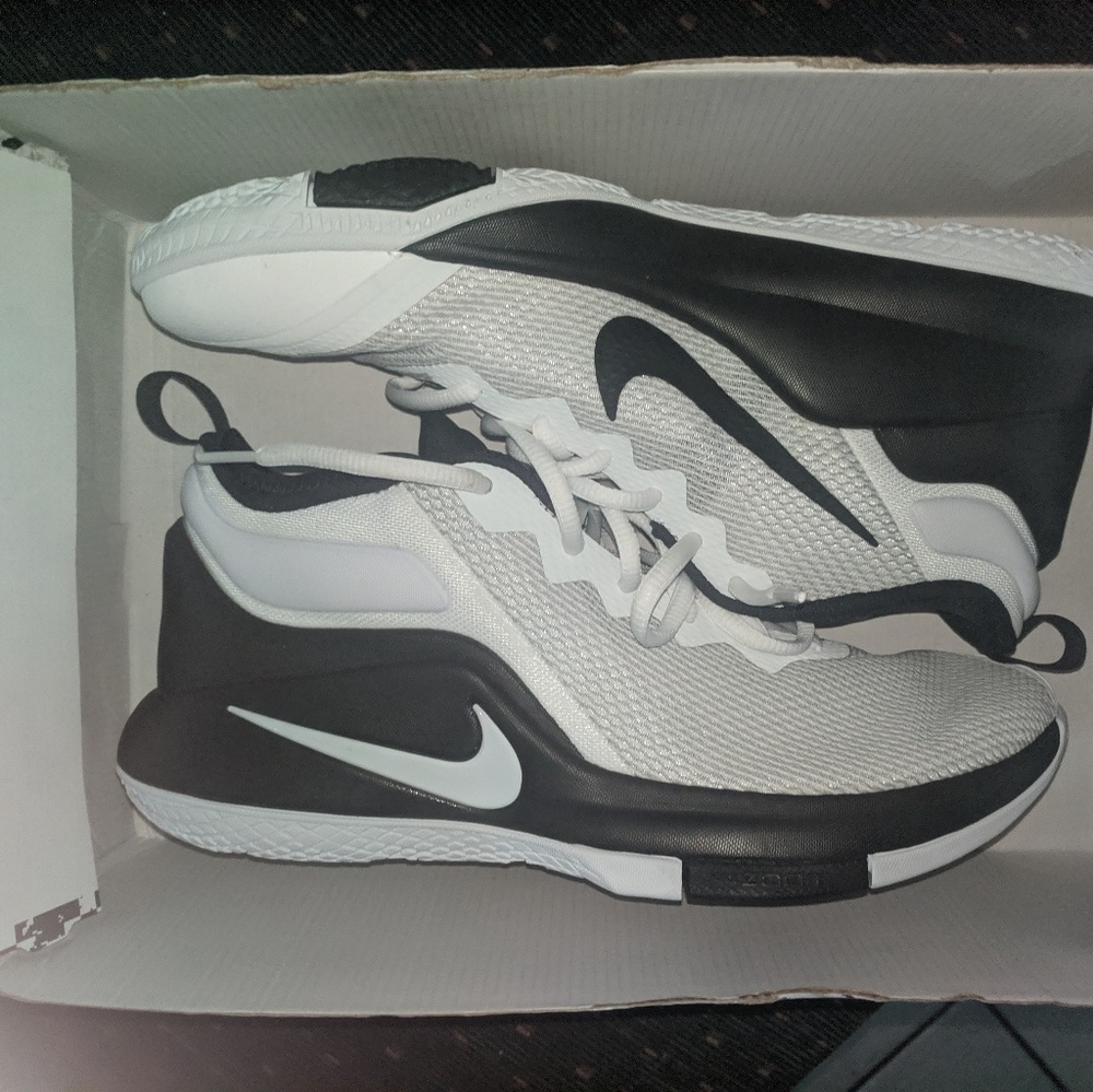 LeBron Witness 2